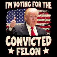 IM Voting For The Convicted Felon 2024 Toddler T-Shirt