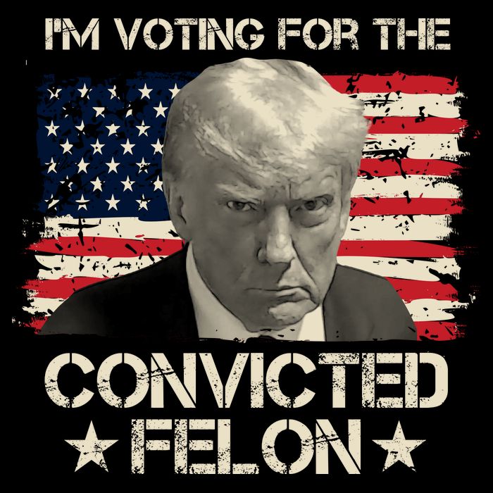 Im Voting For The Convicted Felon Trump Flatbill Hat