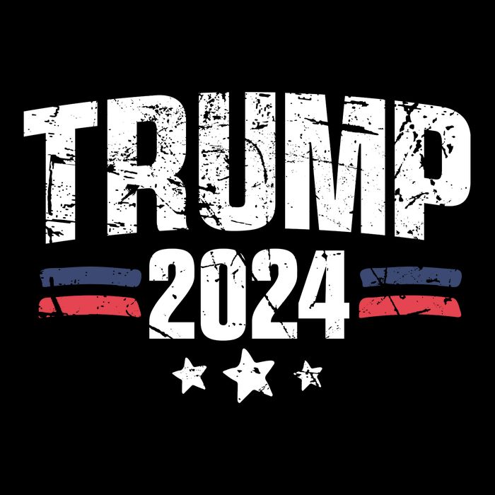 Im Voting For The Felon Grunge Front And Back Design City Backpack