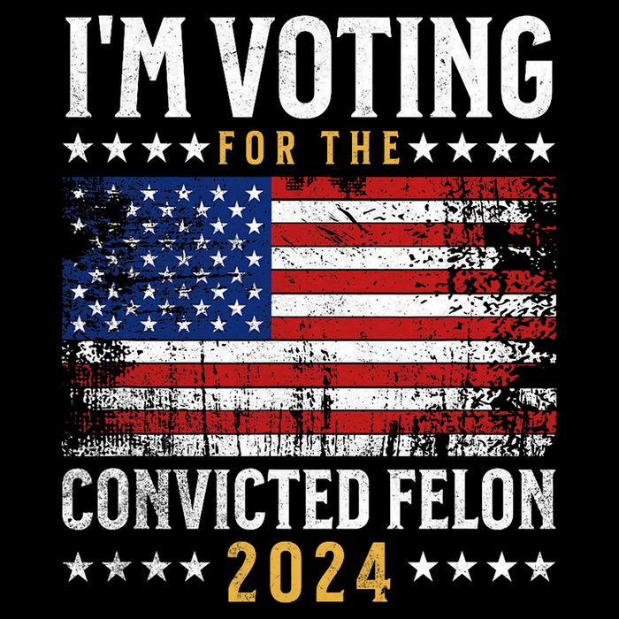 Im Voting Felon 2024 Voting For Felon Convicted Felon Premium T-Shirt