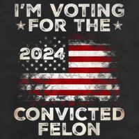 IM Voting For The Convicted Felon Funny Retro American Flag Cool Comfort Performance Bucket Hat