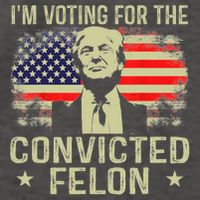 IM Voting For The Convicted Felon Funny Retro American Flag Vector Backpack