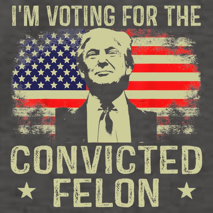 IM Voting For The Convicted Felon Funny Retro American Flag Vector Backpack