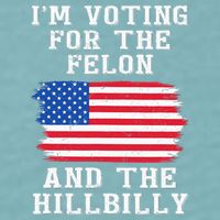 I’M Voting For The Felon & The Hillbilly Pro Trump 2024 Sueded Cloud Jersey T-Shirt