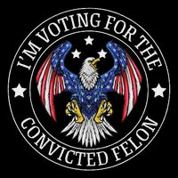 I'm Voting For The Convicted Felon T-Shirt