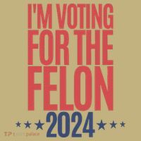 IM Voting For The Felon T-Shirt