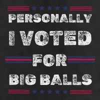 I Voted For Big Balls Funny Political Adult Drive Performance Visor