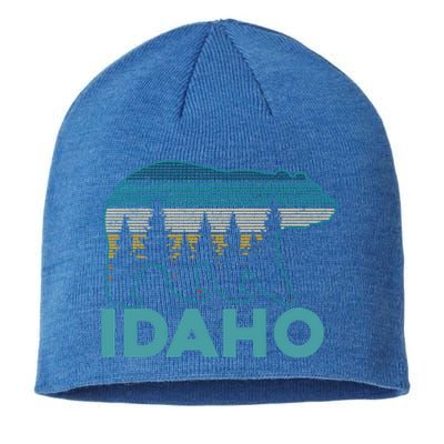 Idaho Vintage Grizzly Bear Souvenir Gift Sustainable Beanie