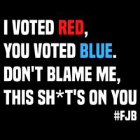 I Voted Red You Voted Blue Don't Blame Me Mousepad