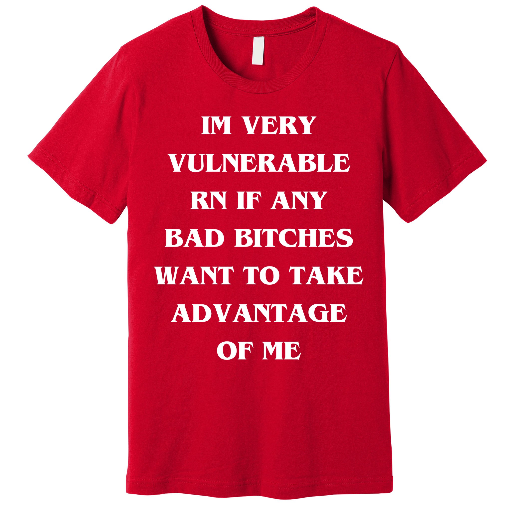 IM VERY VULNERABLE RN IF ANY BAD BITCHES WANT TO TAKE Premium T-Shirt