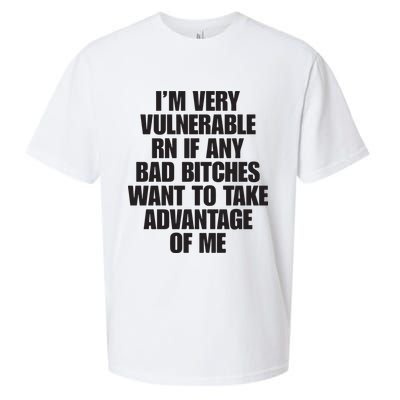 I’m Very Vulnerable Rn If Any Bad Bitches Want To Take Advantage Of Me Sueded Cloud Jersey T-Shirt