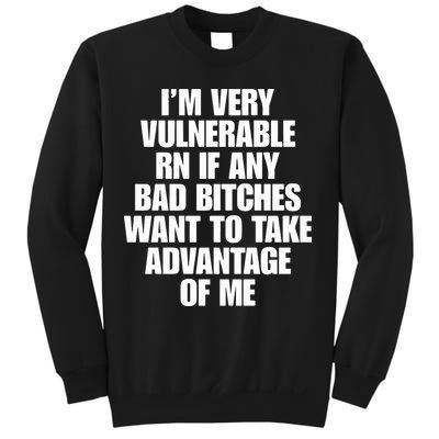 I’m Very Vulnerable Rn If Any Bad Bitches Want To Take Advantage Of Me Sweatshirt