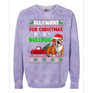 I Want A Bulldog For Christmas Ugly Sweater Dog Xmas Outfit Gift Colorblast Crewneck Sweatshirt