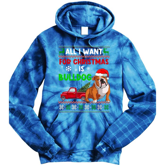 I Want A Bulldog For Christmas Ugly Sweater Dog Xmas Outfit Gift Tie Dye Hoodie