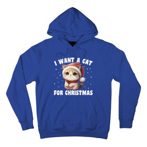 I Want A Cat For Christmas Cute Cats Gift Hoodie