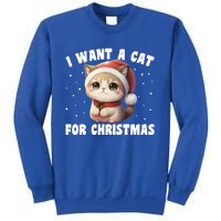 I Want A Cat For Christmas Cute Cats Gift Sweatshirt