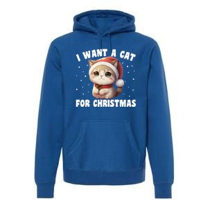 I Want A Cat For Christmas Cute Cats Gift Premium Hoodie