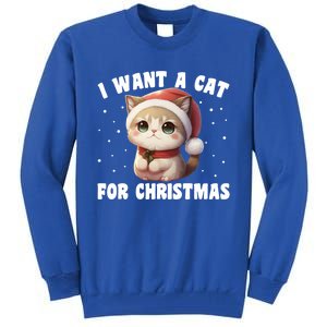 I Want A Cat For Christmas Cute Cats Gift Tall Sweatshirt