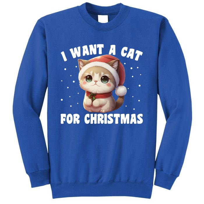 I Want A Cat For Christmas Cute Cats Gift Tall Sweatshirt