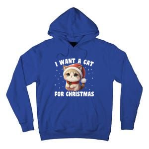 I Want A Cat For Christmas Cute Cats Gift Tall Hoodie