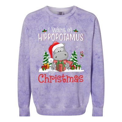 I Want A Hippopotamus For Christmas Xmas Hippo Colorblast Crewneck Sweatshirt