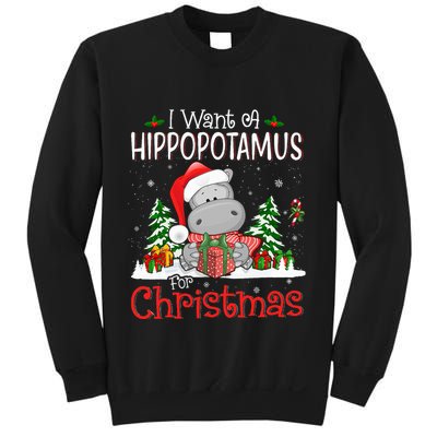 I Want A Hippopotamus For Christmas Xmas Hippo Sweatshirt