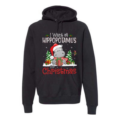 I Want A Hippopotamus For Christmas Xmas Hippo Premium Hoodie