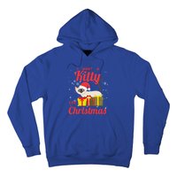 I Want A Kitty Cat For Christmas Funny Cute Magical Holiday Funny Gift Hoodie