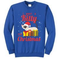 I Want A Kitty Cat For Christmas Funny Cute Magical Holiday Funny Gift Tall Sweatshirt