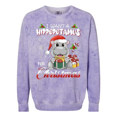 I Want A Hippopotamus For Christmas Xmas Lights Santa Hippo TShirt Colorblast Crewneck Sweatshirt