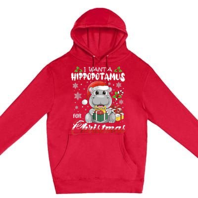 I Want A Hippopotamus For Christmas Xmas Lights Santa Hippo TShirt Premium Pullover Hoodie