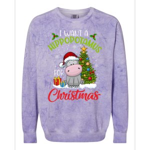 I Want A Hippopotamus For Christmas Xmas Hippo Gift Colorblast Crewneck Sweatshirt