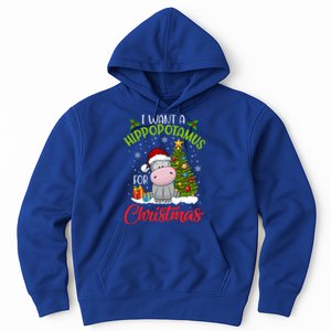 I Want A Hippopotamus For Christmas Xmas Hippo Gift Hoodie