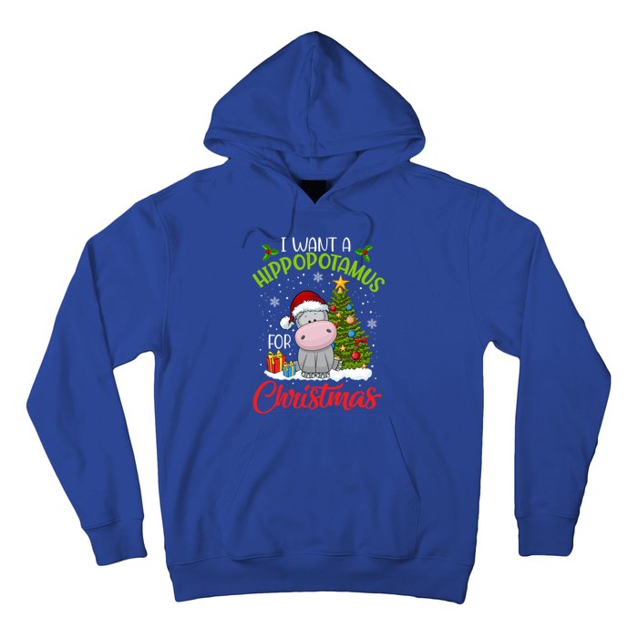 I Want A Hippopotamus For Christmas Xmas Hippo Gift Hoodie