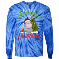 I Want A Hippopotamus For Christmas Xmas Hippo Gift Tie-Dye Long Sleeve Shirt