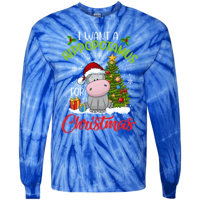 I Want A Hippopotamus For Christmas Xmas Hippo Gift Tie-Dye Long Sleeve Shirt