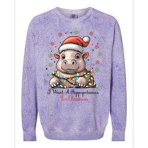 I Want A Hippopotamus For Christmas Xmas Holiday Colorblast Crewneck Sweatshirt