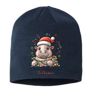 I Want A Hippopotamus For Christmas Xmas Holiday Sustainable Beanie