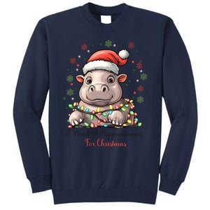 I Want A Hippopotamus For Christmas Xmas Holiday Tall Sweatshirt