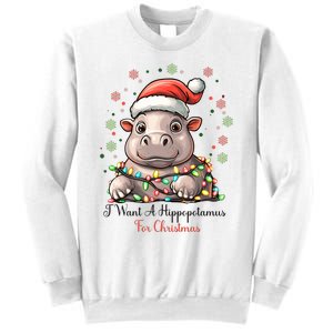 I Want A Hippopotamus For Christmas Xmas Holiday Sweatshirt