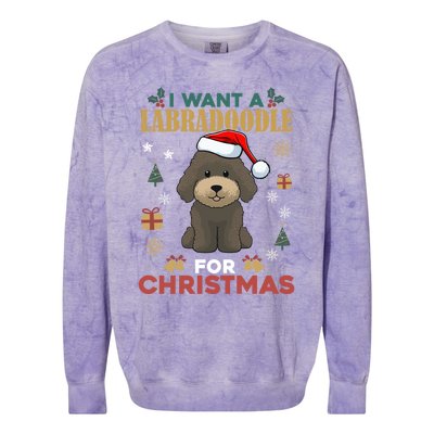 I Want A Labradoodle For Christmas Cute Dog Pet Lover Pajama Gift Colorblast Crewneck Sweatshirt