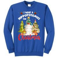 I Want A Hippopotamus For Christmas Xmas Tree Hippo Lover Gift Tall Sweatshirt