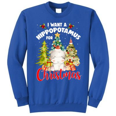 I Want A Hippopotamus For Christmas Xmas Tree Hippo Lover Gift Tall Sweatshirt