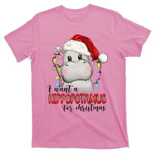 I Want A Hippopotamus For Christmas Xmas T-Shirt