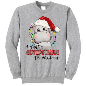 I Want A Hippopotamus For Christmas Xmas Sweatshirt