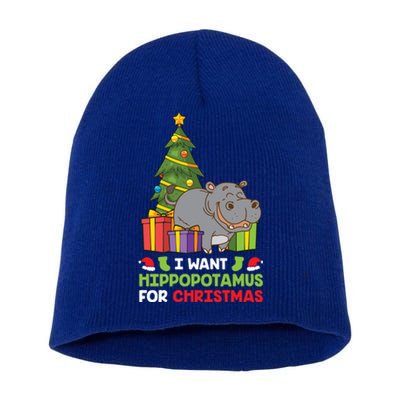 I Want A Hippopotamus For Christmas Xmas Hippo Gift Short Acrylic Beanie