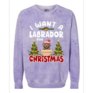 I Want A Labrador For Christmas Labs Mom Dog Lover Christmas Funny Gift Colorblast Crewneck Sweatshirt