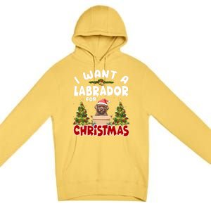 I Want A Labrador For Christmas Labs Mom Dog Lover Christmas Funny Gift Premium Pullover Hoodie