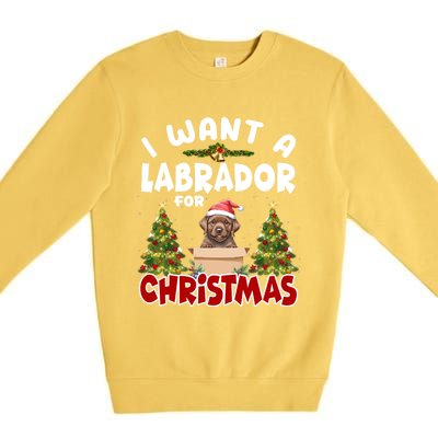 I Want A Labrador For Christmas Labs Mom Dog Lover Christmas Funny Gift Premium Crewneck Sweatshirt