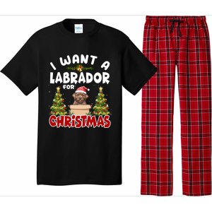 I Want A Labrador For Christmas Labs Mom Dog Lover Christmas Funny Gift Pajama Set